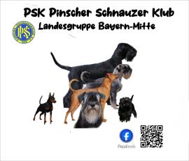 PINSCHER SCHNAUZER KLUB